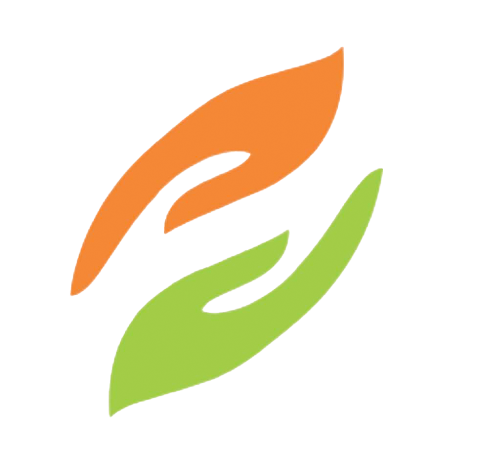 LiSi GmbH Logo